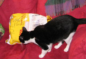 Jeremiah investigates the package