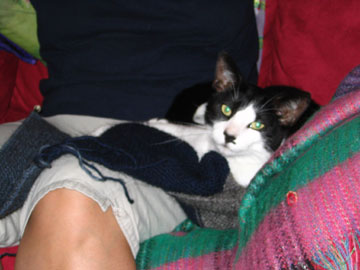 Jeremiah relaxes after helping knit